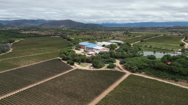Aerial: Vineyards in mountainous wine capital of Tarija, Bolivia