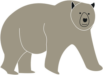 Gray bear vector
