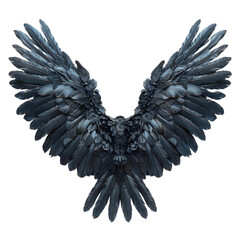 Fototapeta premium Black eagle spread the wings isolated on a transparent background for web, banner, wallpaper