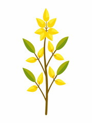 Forsythia plant vector illustration 
