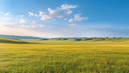 Fototapeta premium Vast Golden Grassland Stretching Towards Rolling Green Hills Under Blue Sky, Kazakhstan, Copy Space
