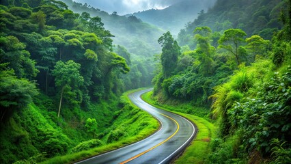 Green road winding up a mountain through a lush forest during the rainy season , green, road, mountain, forest