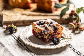 Fresh and hot blackberry cake made of blackberries, flour and eggs. Vegan fruit sponge cake.
