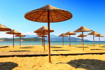 Row of wooden umbrellas at sandy beach, sea