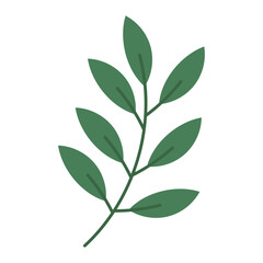 Hand drawn colorful leaves illustration on white background