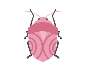 Hand drawn insect. Nature, bugs, plants. Vector flat illustration.