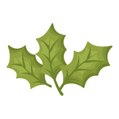 Christmas mistletoe illustration isolated on white background