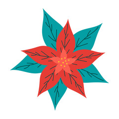 Poinsettia plant illustration, Christmas star illustration on the white background