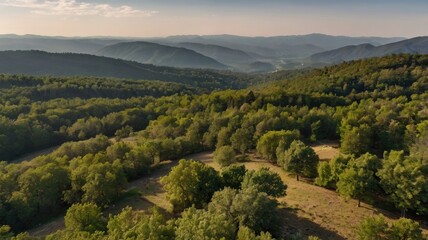 Fototapeta premium panorama of the mountains in autumn