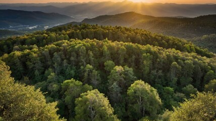 Obraz premium panorama of the mountains in autumn