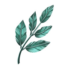 hand drawn Watercolor flower and leaf illustration on white