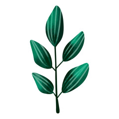 hand drawn Watercolor flower and leaf illustration on a white