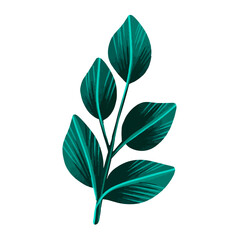 hand drawn Watercolor flower and leaf illustration on the white