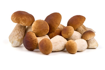 Boletus mushrooms, Porcini Mushroom, Forest, Edible Mushroom, isolated on white background.