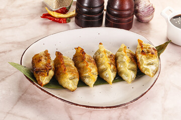 Fried Japanese stuffed dumplings - Gyoza