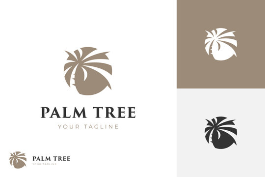 abstract palm tree logo design with circle shape concept vector illustration for summer symbol, agricultural logo template