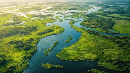 Aerial View of a Winding River Through Lush Green Landscape