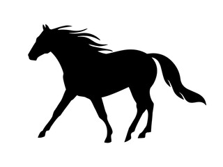 black horse silhouette vector illustration