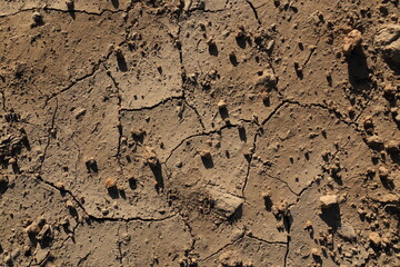 ひび割れをした乾燥した地面