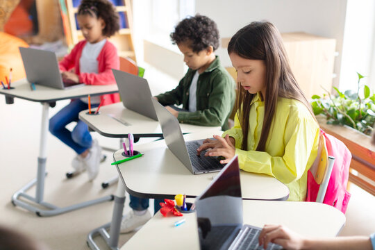 Diverse children using laptop computers in computer class of primary school, learning computer science