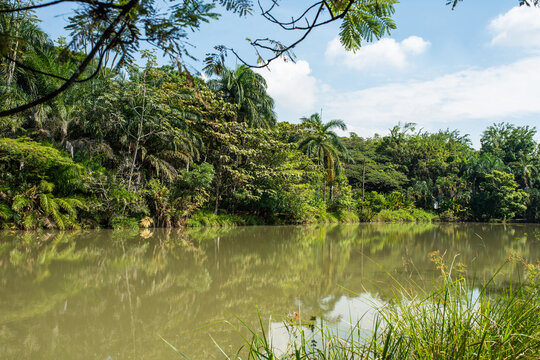 la babilla wetland, babilla park in cali colombia located in southern cali
