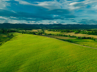Fototapeta premium Beautiful landscape, spring nature. Rural landscape in summer. View of sunny fields at daylight
