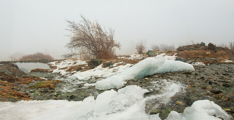 frozen ice in river with lake with ice floes and stones. Tree in fog. Nature