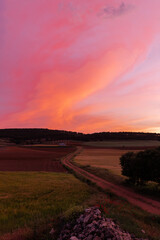 Fototapeta premium Curved path between plantations under sunset sky