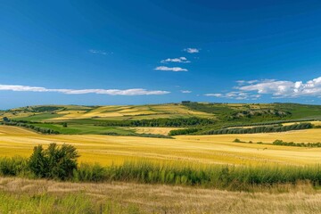 Obraz premium Combine harvester working on a wheat field - aerial view. Season of gathering crops. Drone flying over the field.. Beautiful simple AI generated image in 4K, unique.