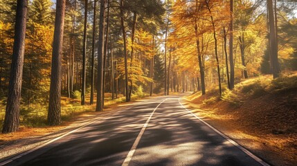 Fototapeta premium Serene Autumn Forest Road with Sunlight Filtering Through Colorful Foliage