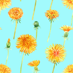 Obraz premium Dandelions watercolor seamless pattern. Yellow summer spring flowers.
