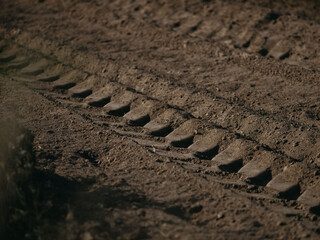 soil in the ground