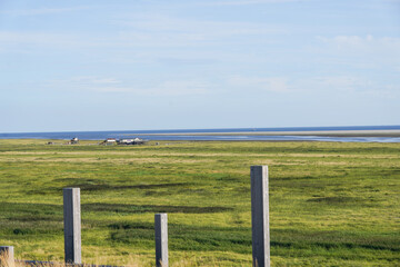 Salt marshes in Sankt-Peter-Ording at the North Sea. Beautiful Landscape of Sankt Peter-Ording at Sunset in Summer. High