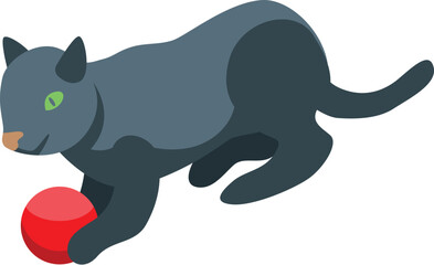 Playful grey cat is playing with a red ball, isolated on a white background