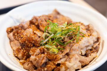 とても美味しい日本の焼肉どんぶり