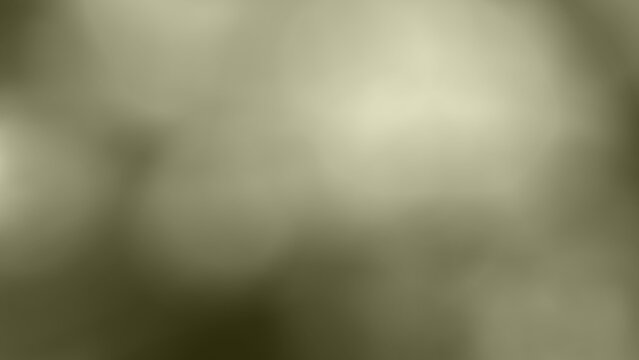 abstract background Photograph of food on an old wooden table Siam Paragon Shopping Center Bangkok, Thailand, gradient, black, white, light green, blurred, meat, food, beef, pork, raw, dinner, sausage