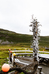 totem with antlers