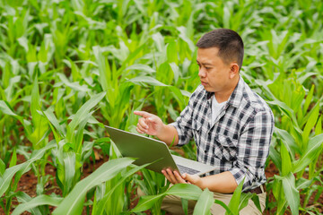 Hands of farmer, Agriculture technology farmer man using tablet Modern technology concept agriculture.