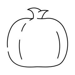 pomegranate food fruit line icon vector. pomegranate food fruit sign. isolated contour symbol black illustration