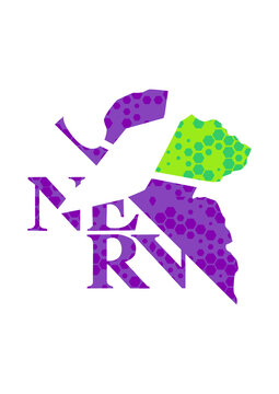 nerv racing 