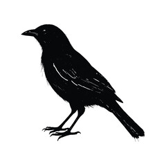 Black Silhouette of a Bird