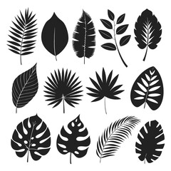 Intricate Leaf Silhouette Vector Illustration: Maple, Oak, Palm, Fern, Ginkgo, and Ivy Leaves