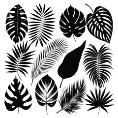Intricate Leaf Silhouette Vector Illustration: Maple, Oak, Palm, Fern, Ginkgo, and Ivy Leaves