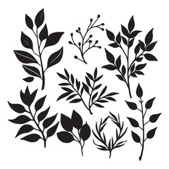 Plants silhouette vector images