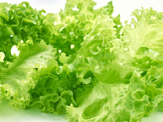Green leaves of salad isolated on white background