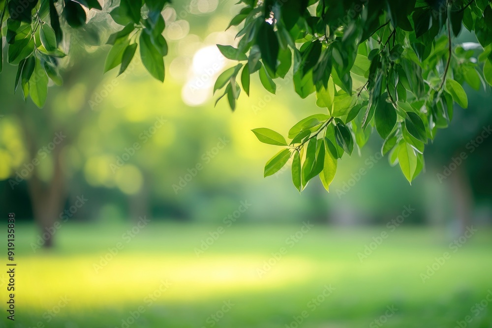 Wall mural blurred of green natural tree in park background with generative ai