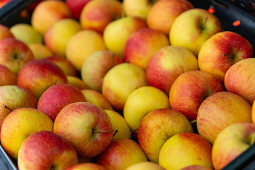 basket of apples with a red and yellow color