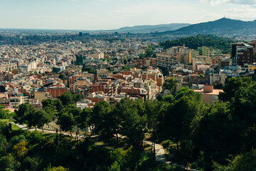 Fototapeta premium view of the city from the Bunkers del Carmel on a clear sky in Barcelona, Spain - may 2 2024