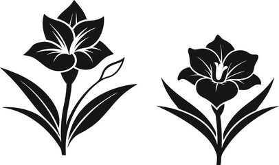 gladiolus flower silhouette vector line art icon