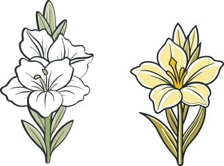 gladiolus flower silhouette vector line art icon